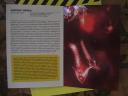 Flow postcard from Laboral Gameworld book (vertical).
